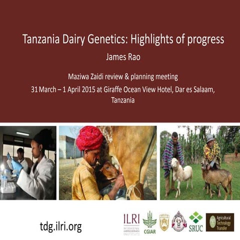 Tanzania Dairy Genetics highlights report 