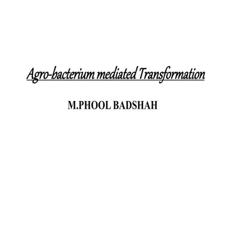 Agro-Bacterium mediated transformation.pptx