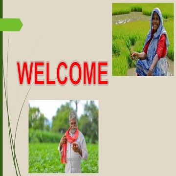 INORGANIC SOURCES OF FERTILIZERS- Complex, Liquid, Speciality and  Nitrogen f...