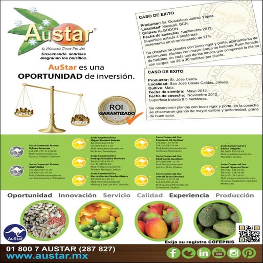 AuStar Mexico | PDF