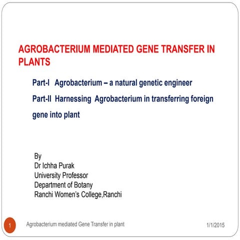 Agrobacterium mediated gene transfer in plants.