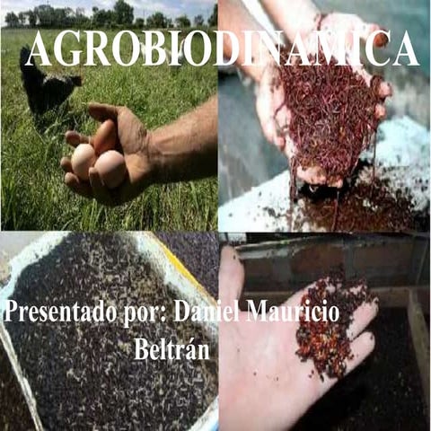 Agrobiodinámica
