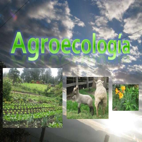 Agroecologia 
