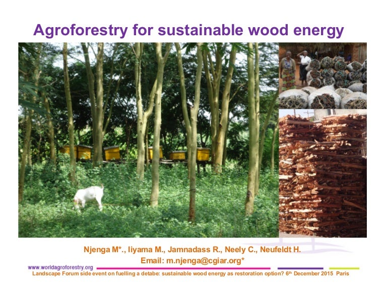 thumbnail of  Agroforestry for sustainable wood energy