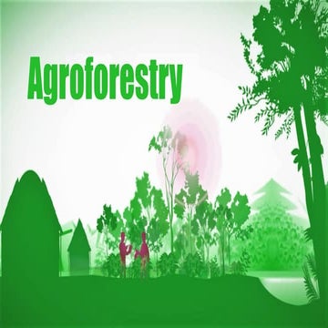 Agroforestry in bangladesh