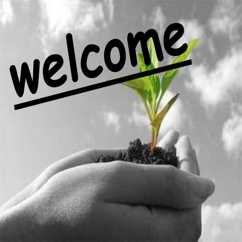 Agroforestry system in agriculture