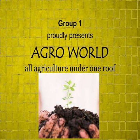 BUSINESS PLAN Agro Mall