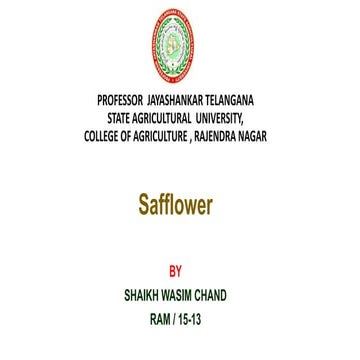 Safflower