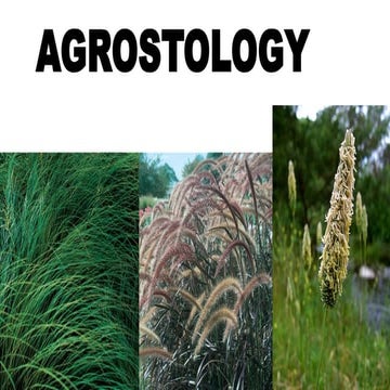 AGROSTOLOGY introduction Lecture 1 and 2.pdf
