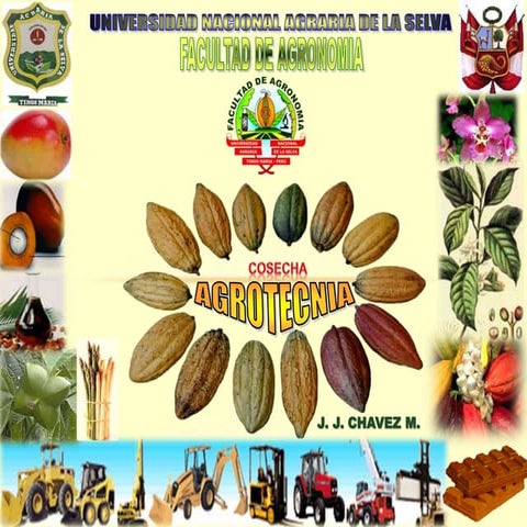 Agrotecnia 8 cosecha  y poscosecha