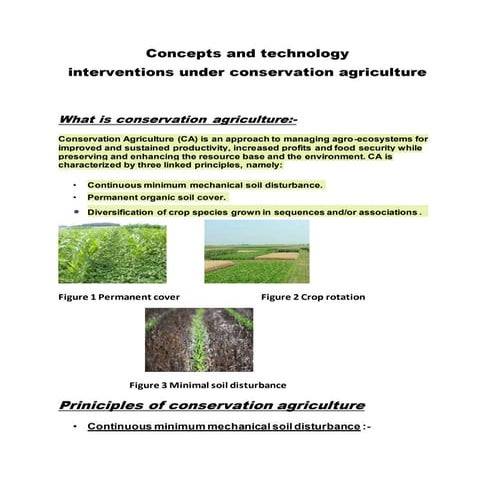 Conservation Agriculture a sustainable practice for africa’s ...