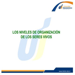 Agrupacion de organismos