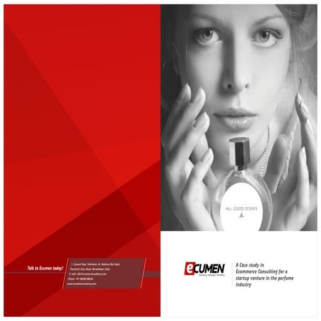 A case study on Ecommerce Consulting