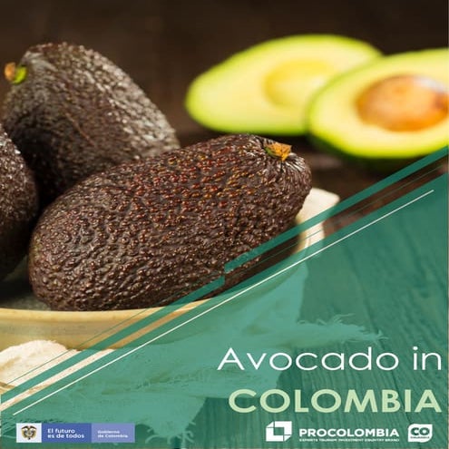Hass avocado indistry in Colombia - Procolombia 2018