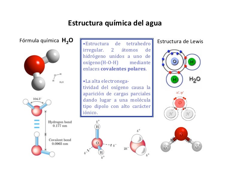 Estructura Molecular Del Agua Moleculas Polares Y No