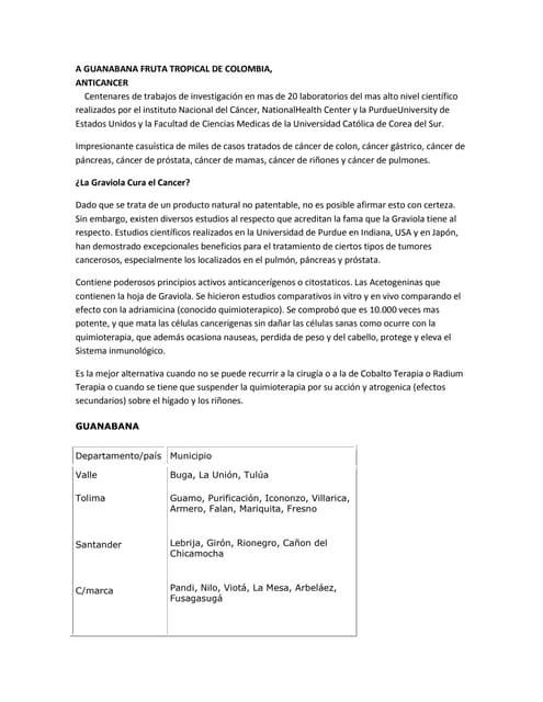 A guanabana fruta tropical de colombia