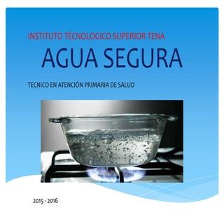Agua segura nelson