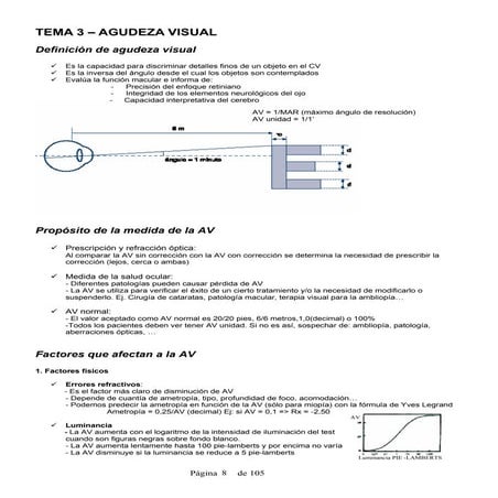 Agudeza visual