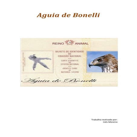 Aguia de bonelli
