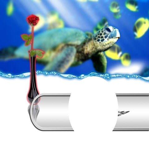 Aguiar ap intelligence and testing 2015 ss