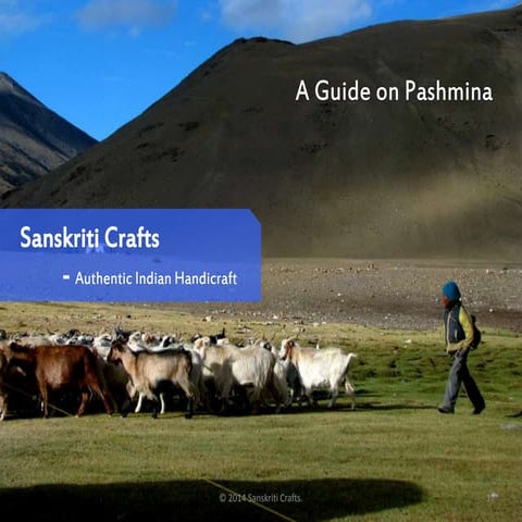 A guide on Pashmina by Sanskriti Crafts 