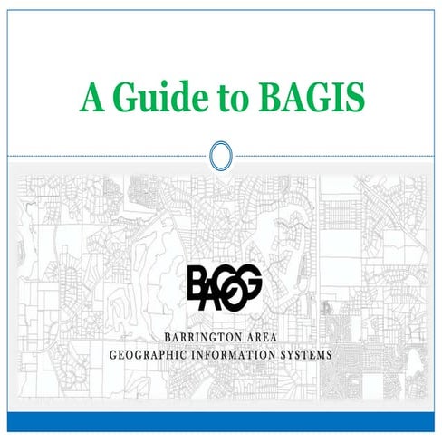 A Guide to the BAGIS Program