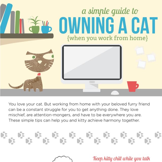 How to Work from Home with a Cat