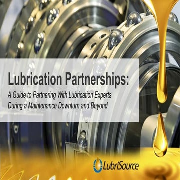 A Guide to Partnering with Industrial Lubrication Experts