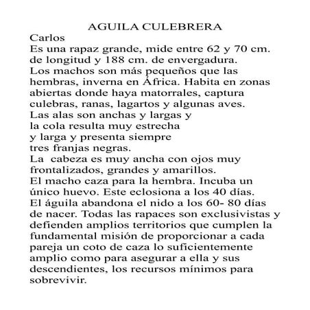 Aguila culebrera cesar
