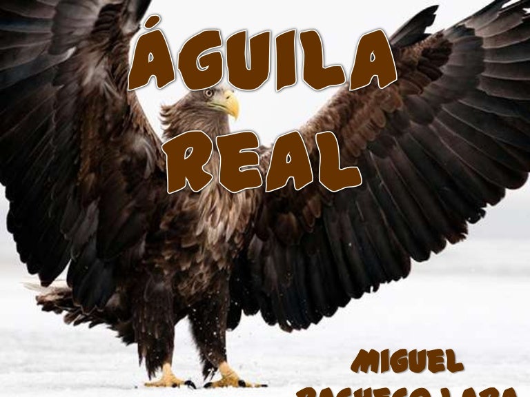 El Aguila Real