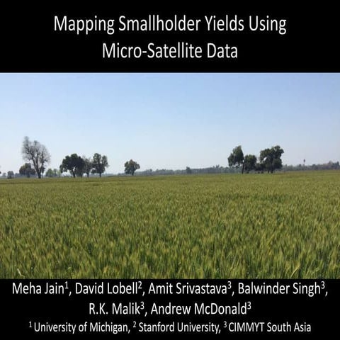 Mapping Smallholder Yields Using Micro-Satellite Data