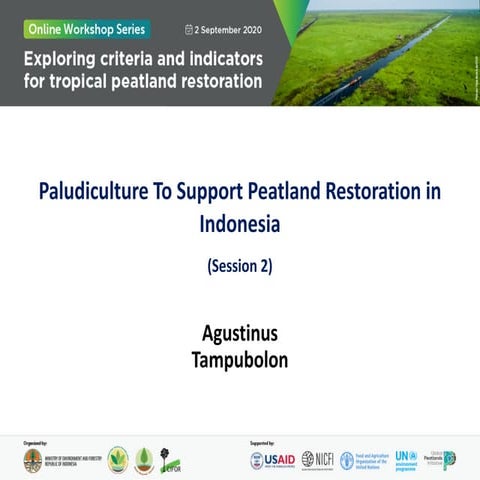 Paludiculture to support peatland restoration in Indonesia