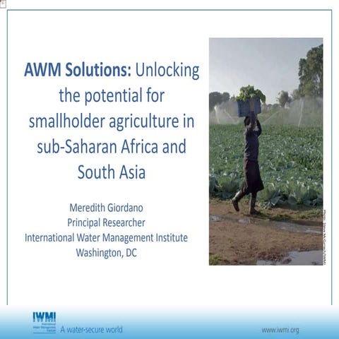 AWM Solutions: Unlocking the potential for smallholder agriculture in sub-Sah...