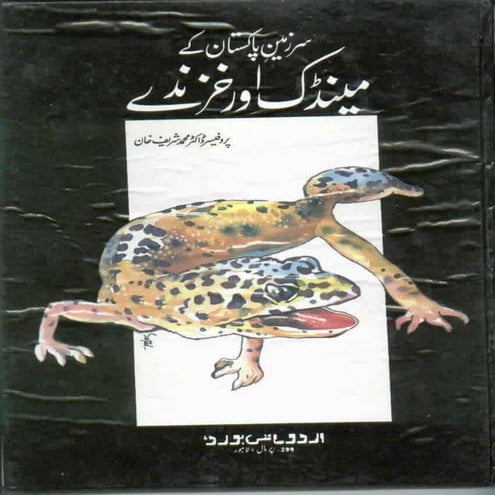 2000 pakistan kay maindak urdu | PDF