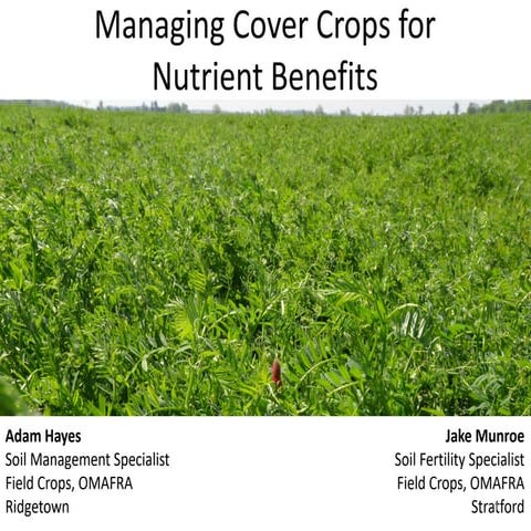 5. Cover Crops - Adame Hayes and Jake Munroe