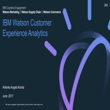 IBM Watson Customer Experience Analytics 