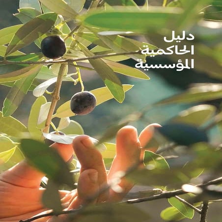 Ahli annual report arabic cg guidelines