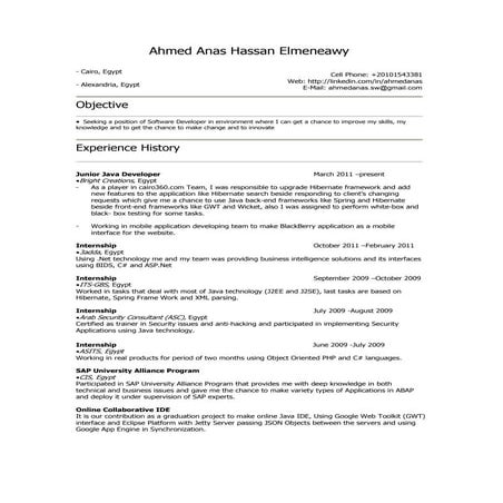 Ahmed Anas Elmeneawy