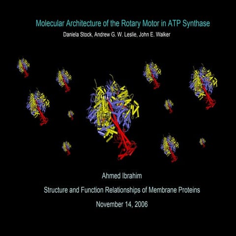 ATP-Synthase Presentation