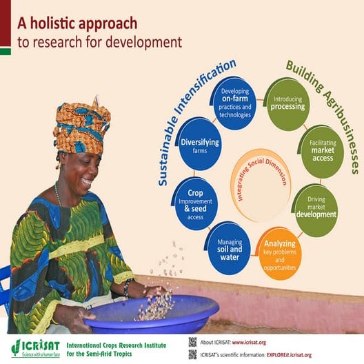 A holistic approach to research for development (II)