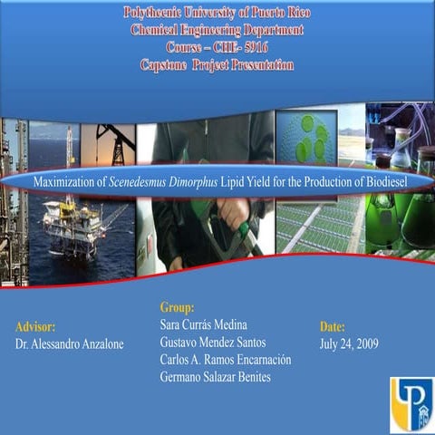 Maximization of algae lipid yield Scenedesmus dimorphus for the production of...