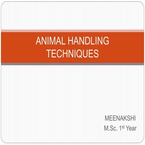 Animal Handling Techniques