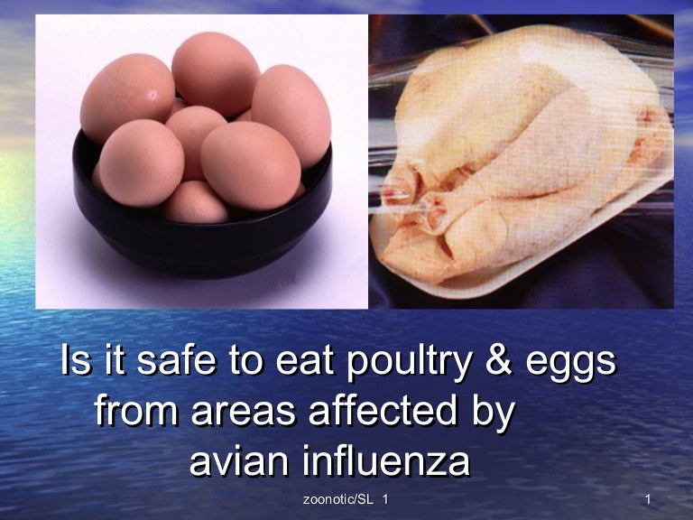 Avian Influenza and poultry meat