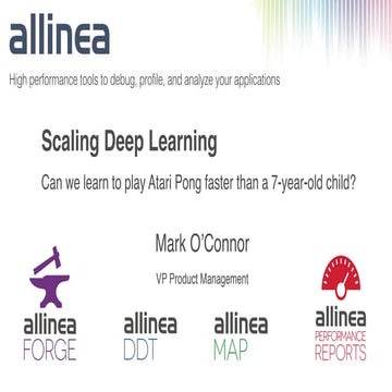 Scaling Deep Learning | PPT