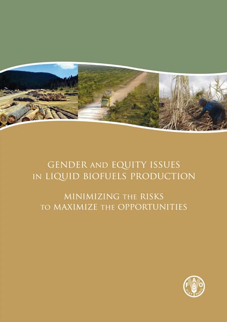 Gender and Equity issues in Liquid Biofuels Production  