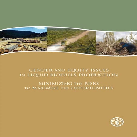 Gender and Equity issues in Liquid Biofuels Production  