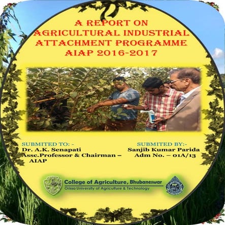 Agricultral Industrial Attachment Programme 