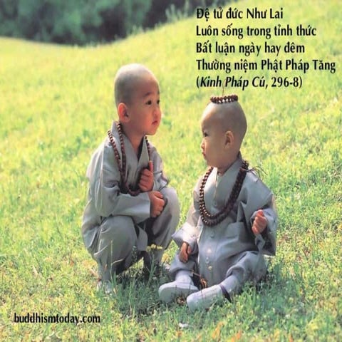 Ai bao an chay la kho