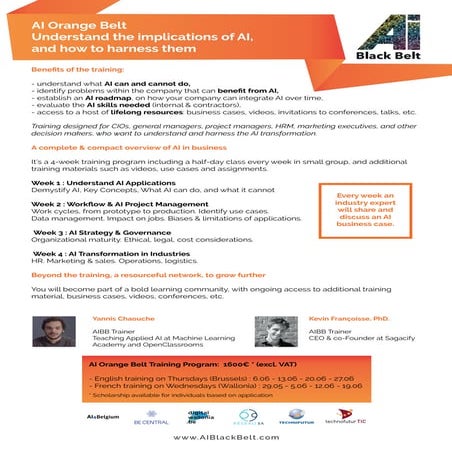 AI Black Belt -  brochure Spring 2019