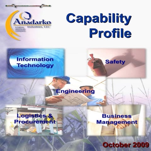 AI Capability Profile October 2009 (2)